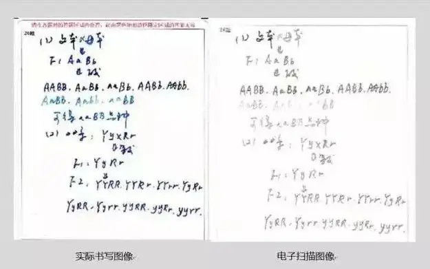 2024高考答题卡曝光!-第7张图片-四季读书网 2024高考答题卡曝光!-第7张图片-四季读书网