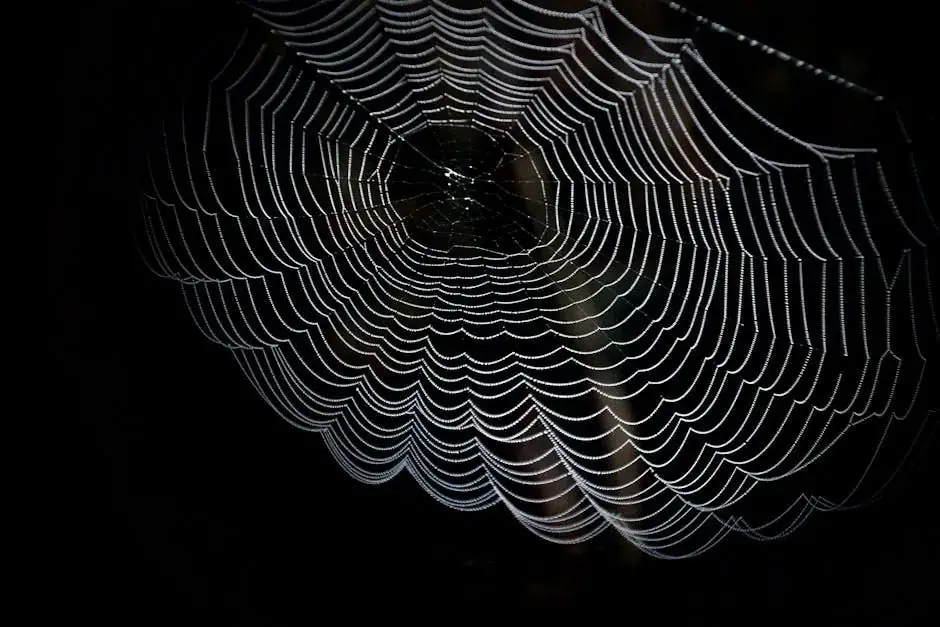中考作文:审题陷阱,不要忽视隐性要求,《这就是生活》《这也是生活》《这才是生活》有什么不同-第1张图片-四季读书网 中考作文:审题陷阱,不要忽视隐性要求,《这就是生活》《这也是生活》《这才是生活》有什么不同-第1张图片-四季读书网