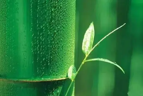 铁西区中考减压活动启动-第3张图片-四季读书网