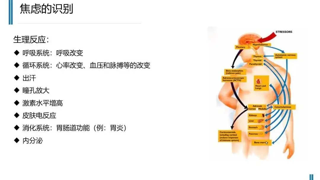 铁西区中考减压活动启动-第5张图片-四季读书网