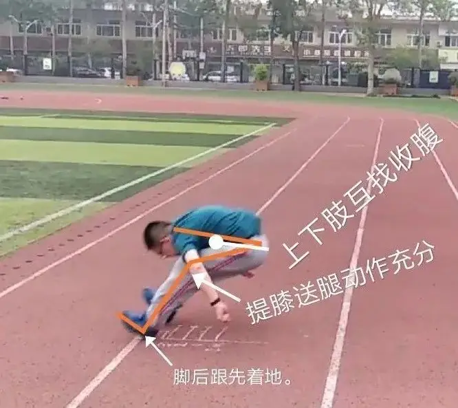 中考体育免费训练,河北品牌梦之翔十五周年,2024暑假训练营集结号!-第35张图片-四季读书网 中考体育免费训练,河北品牌梦之翔十五周年,2024暑假训练营集结号!-第35张图片-四季读书网