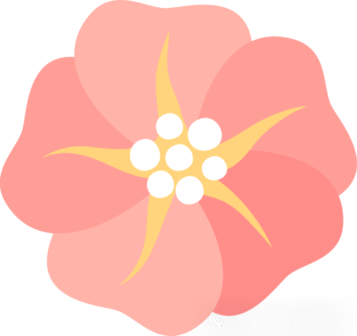 书润童心 阅读致远——涟水县实验小学四至六年级课外阅读知识竞赛 第10张 书润童心 阅读致远——涟水县实验小学四至六年级课外阅读知识竞赛 第10张