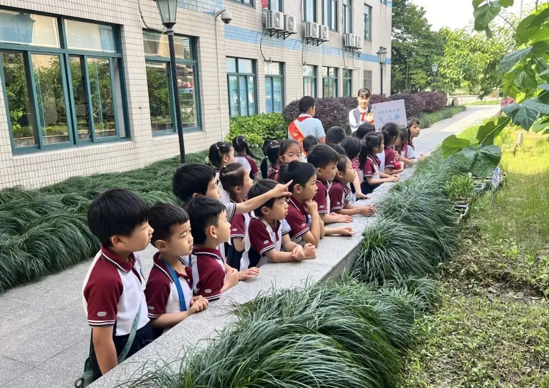 【“来塞”资讯】趣见小学,“幼”见美好 第14张