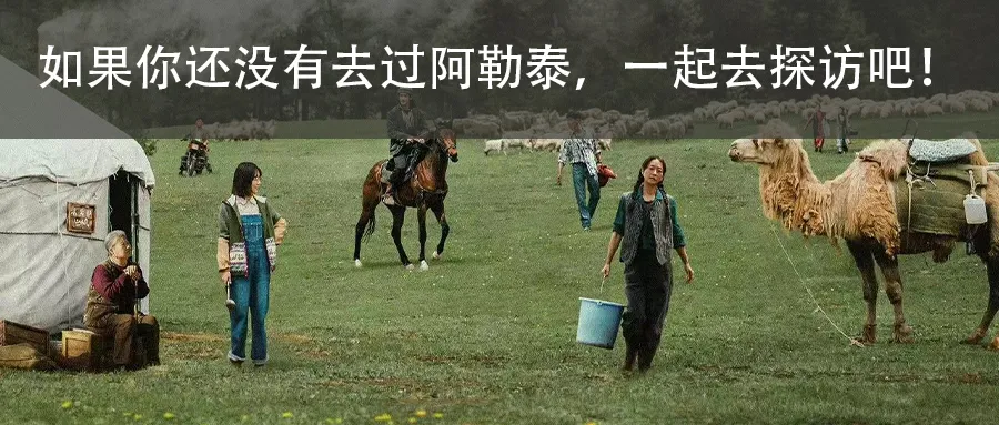 小学大课,诗韵四方.曼行国道,直通阿勒泰! 第14张 小学大课,诗韵四方.曼行国道,直通阿勒泰! 第14张