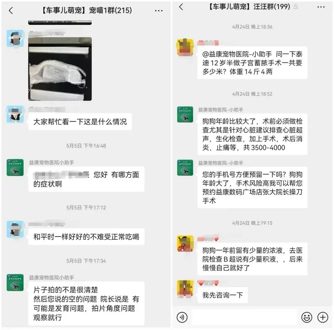 六一、端午、中高考齐至,送考车贴还没领?潮玩、自驾游还没规划? 第19张 六一、端午、中高考齐至,送考车贴还没领?潮玩、自驾游还没规划? 第19张