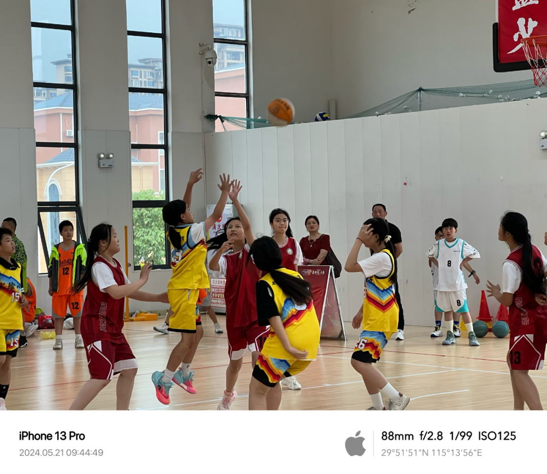 战报 | 实验小学和实验二小会师女篮总决赛 排市中心小学单场投中五记三分球 第13张 战报 | 实验小学和实验二小会师女篮总决赛 排市中心小学单场投中五记三分球 第13张