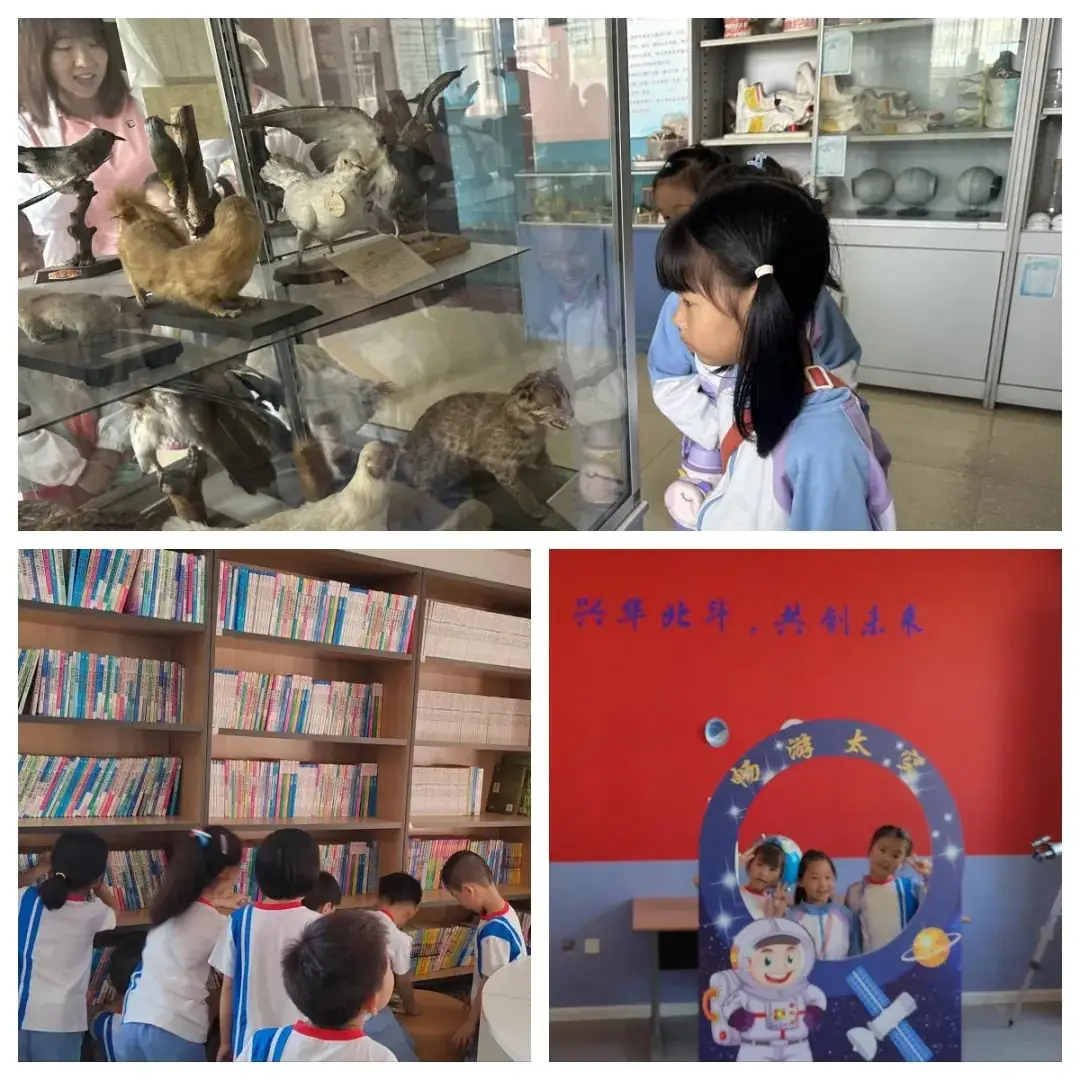 携手同行 快乐体验 拥有梦想兴华小学与第十五幼儿园幼小衔接活动 第17张 携手同行 快乐体验 拥有梦想兴华小学与第十五幼儿园幼小衔接活动 第17张