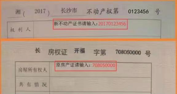 博才新童小学2024年秋季一年级新生报名资料现场审核须知 第8张 博才新童小学2024年秋季一年级新生报名资料现场审核须知 第8张