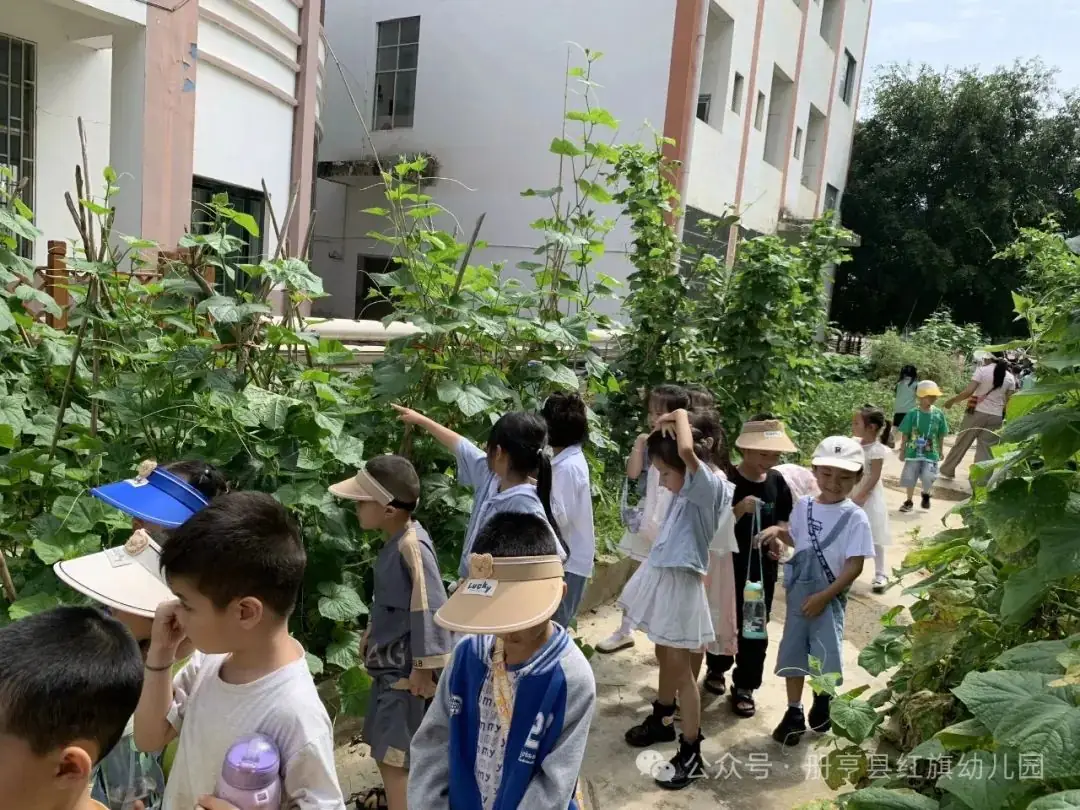 小学初体验,衔接幼成长——册亨县红旗幼儿园2024年大班组参观小学活动 第19张 小学初体验,衔接幼成长——册亨县红旗幼儿园2024年大班组参观小学活动 第19张