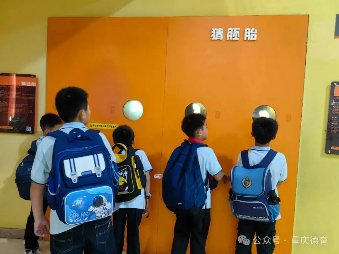 “遨游科技世界 点亮科学梦想”—澄溪小学2024春季研学旅行 第13张 “遨游科技世界 点亮科学梦想”—澄溪小学2024春季研学旅行 第13张