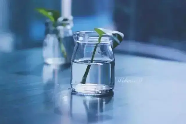 小学语文:关联词的解释及用法复习(附练习) 第2张 小学语文:关联词的解释及用法复习(附练习) 第2张
