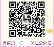 【蕾雷小作家】江昆仑:我想养大象(小学二年级作文) 第8张 【蕾雷小作家】江昆仑:我想养大象(小学二年级作文) 第8张