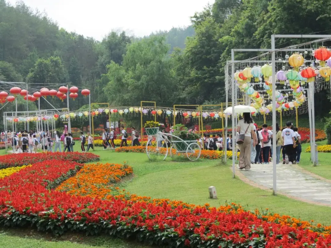 英山毕昇小学500多名师生到四季花海开展研学实践 第2张 英山毕昇小学500多名师生到四季花海开展研学实践 第2张