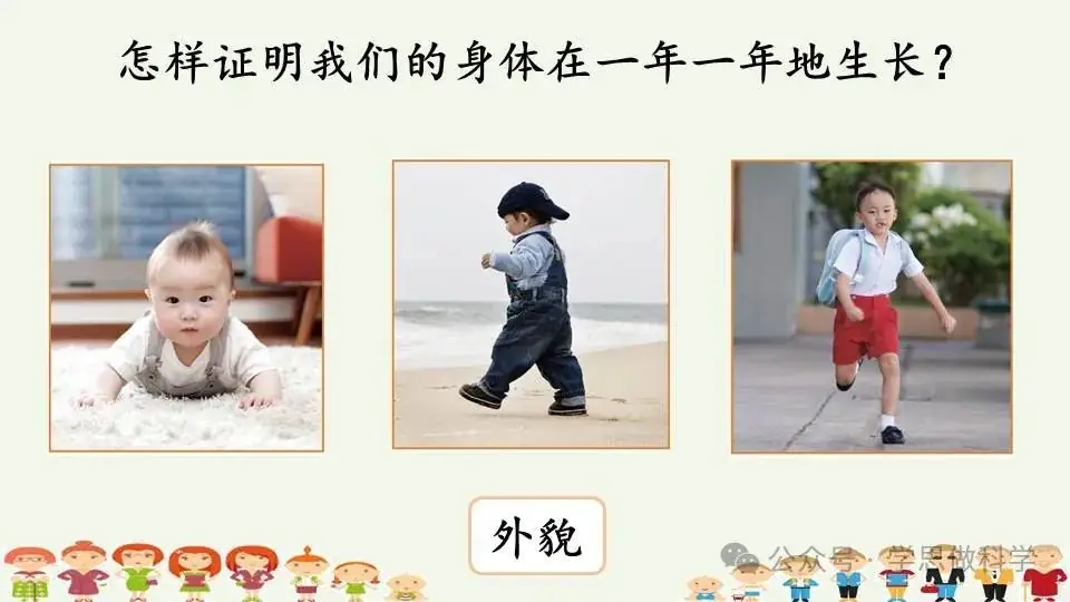 2.5发现生长(小学科学教科版二年级下册课件) 第5张 2.5发现生长(小学科学教科版二年级下册课件) 第5张