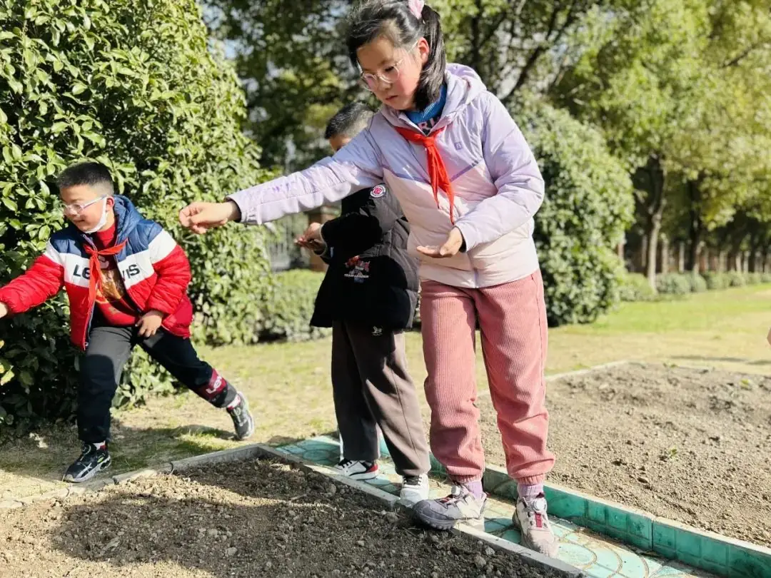 【实小教育集团·十里坊小学】“趣”当劳动者,“育”见劳动美 ——四年级劳动主题系列活动 第11张 【实小教育集团·十里坊小学】“趣”当劳动者,“育”见劳动美 ——四年级劳动主题系列活动 第11张