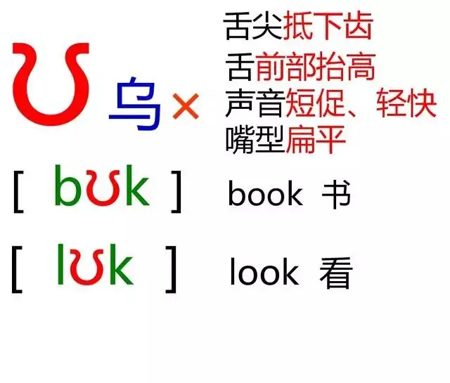 最全整理:小学必考英语音标,共48张,让孩子背熟!(可打印) 第4张
