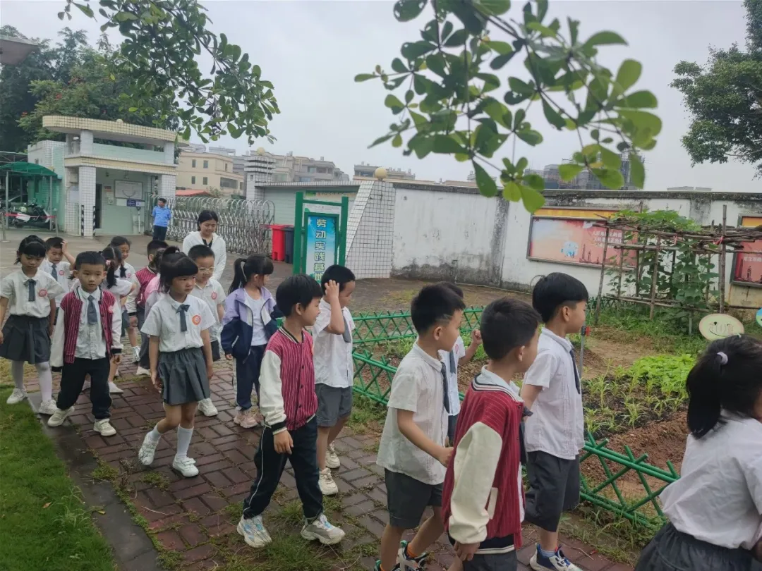 【幼小衔接】我与小学零距离——走进登塘小学 第13张 【幼小衔接】我与小学零距离——走进登塘小学 第13张
