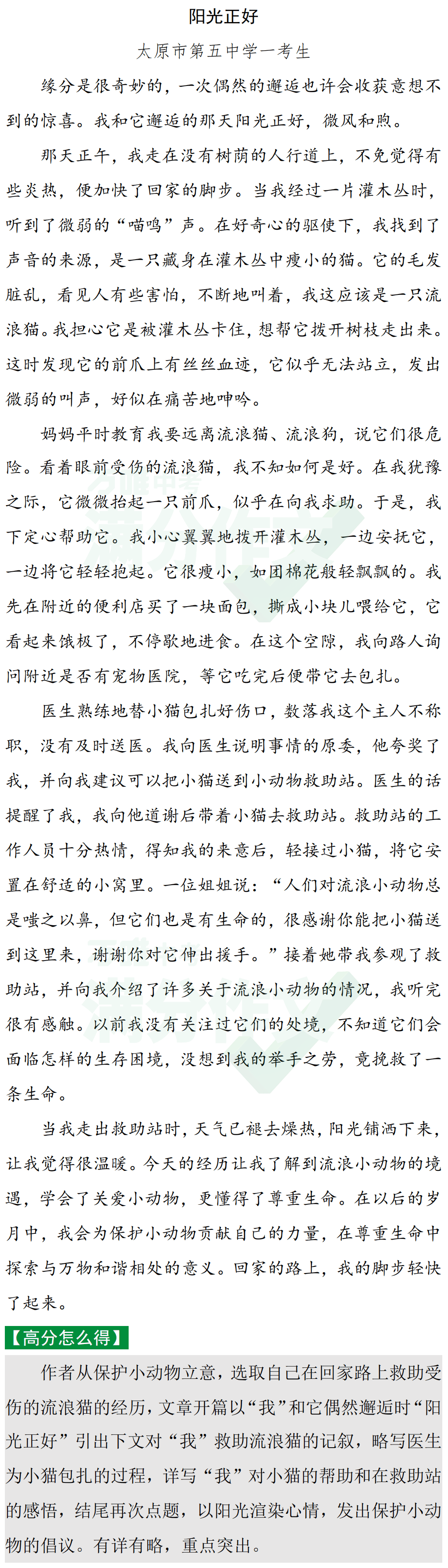 2024中考作文热点话题:成长感悟 第12张 2024中考作文热点话题:成长感悟 第12张