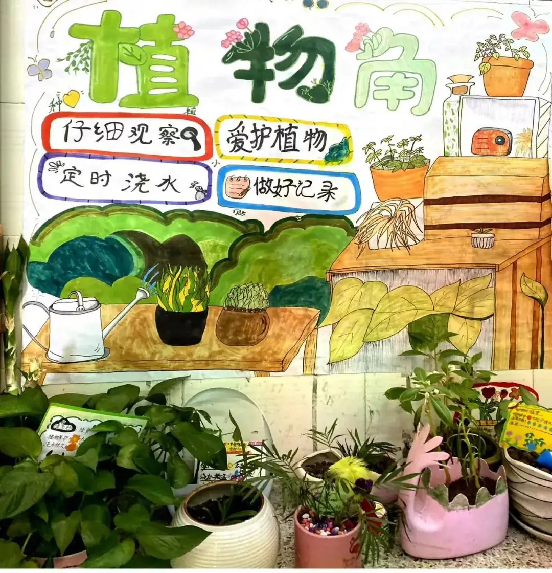 方寸皆风景,育人润无声——雁山中心小学班级文化建设大展评 第7张