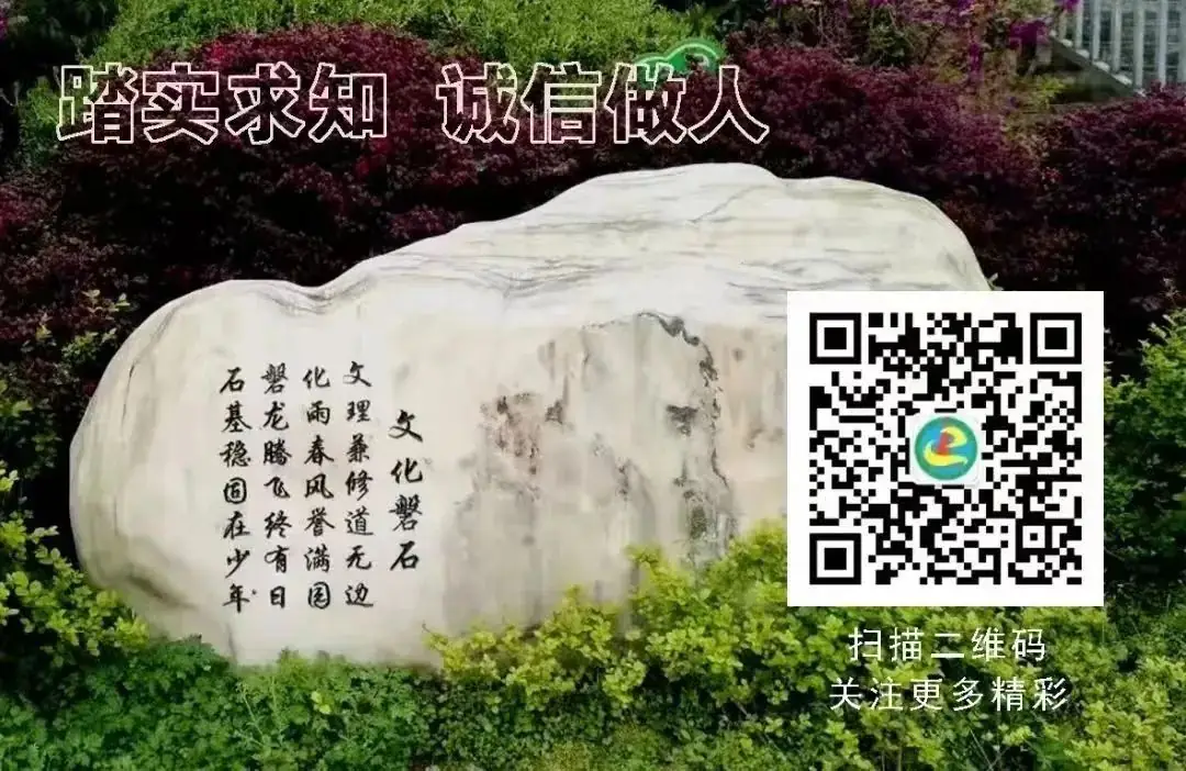 质量分析知不足 齐心协力备中考 通川区磐石镇第二中心校2024年初三月考分析暨中考备考工作会 第12张 质量分析知不足 齐心协力备中考 通川区磐石镇第二中心校2024年初三月考分析暨中考备考工作会 第12张