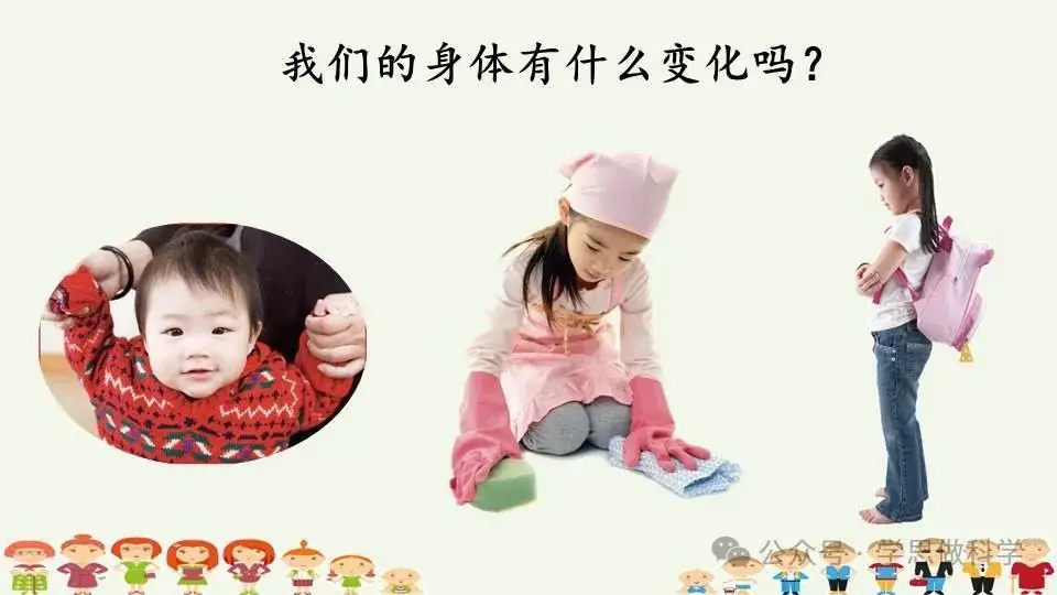 2.5发现生长(小学科学教科版二年级下册课件) 第3张 2.5发现生长(小学科学教科版二年级下册课件) 第3张