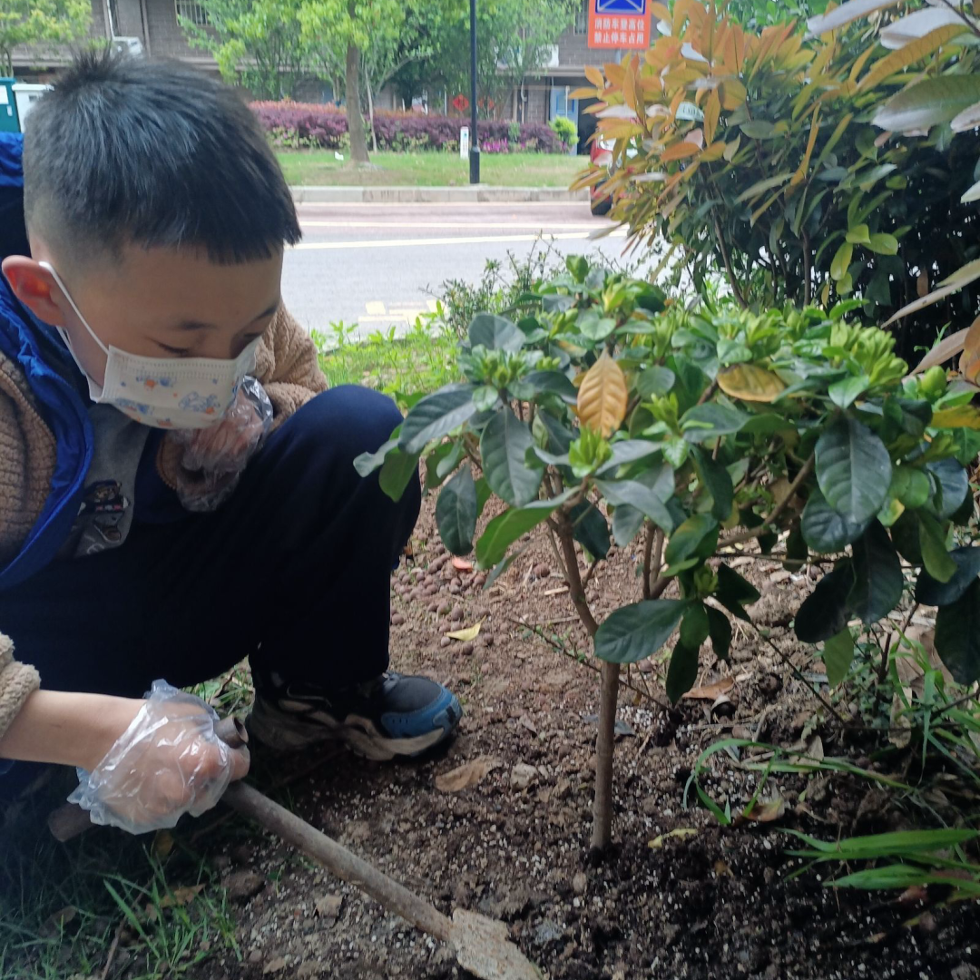 【实小教育集团·十里坊小学】“趣”当劳动者,“育”见劳动美 ——四年级劳动主题系列活动 第17张 【实小教育集团·十里坊小学】“趣”当劳动者,“育”见劳动美 ——四年级劳动主题系列活动 第17张