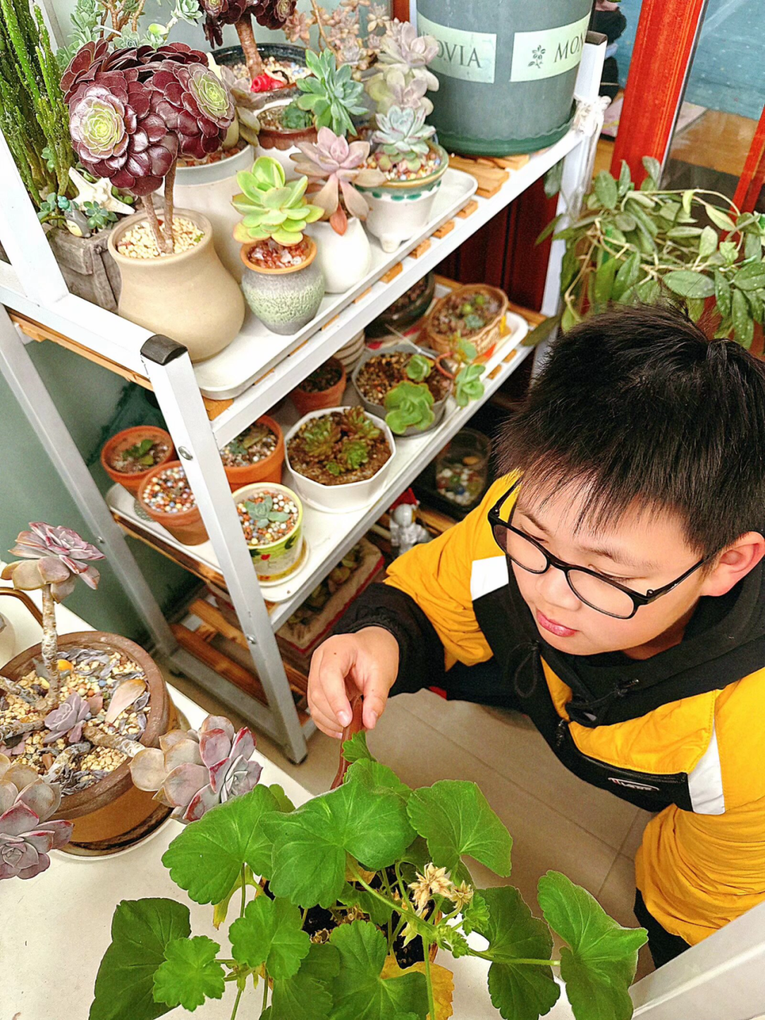 【实小教育集团·十里坊小学】“趣”当劳动者,“育”见劳动美 ——四年级劳动主题系列活动 第18张 【实小教育集团·十里坊小学】“趣”当劳动者,“育”见劳动美 ——四年级劳动主题系列活动 第18张