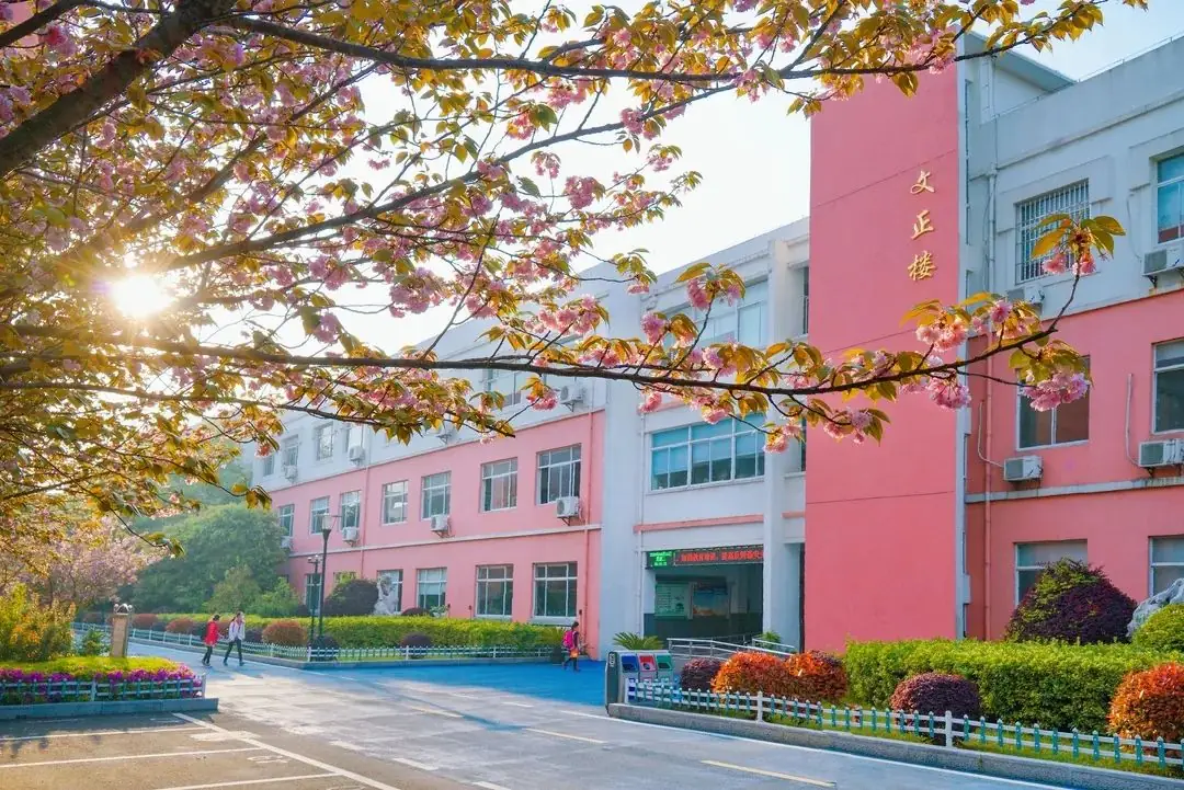 【求真•校园快讯】苏州市阳山实验小学校 2024年新一年级入学公告 第1张 【求真•校园快讯】苏州市阳山实验小学校 2024年新一年级入学公告 第1张