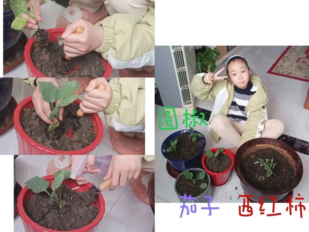 【实小教育集团·十里坊小学】“趣”当劳动者,“育”见劳动美 ——四年级劳动主题系列活动 第13张 【实小教育集团·十里坊小学】“趣”当劳动者,“育”见劳动美 ——四年级劳动主题系列活动 第13张