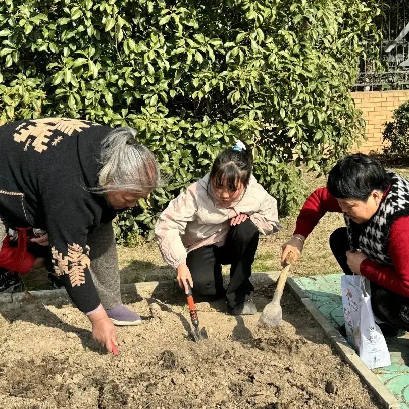 【实小教育集团·十里坊小学】“趣”当劳动者,“育”见劳动美 ——四年级劳动主题系列活动 第16张 【实小教育集团·十里坊小学】“趣”当劳动者,“育”见劳动美 ——四年级劳动主题系列活动 第16张