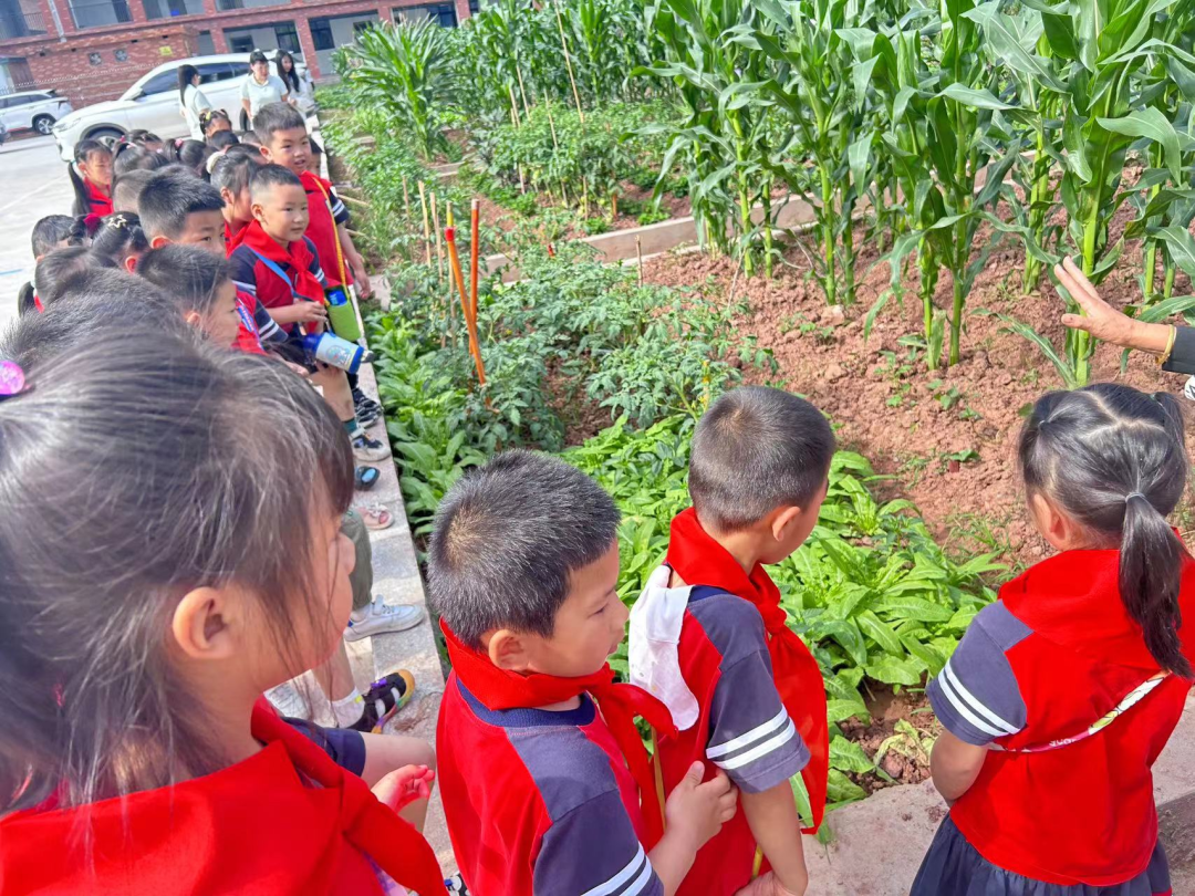 【凤幼动态】“初遇小学 筑梦成长”——幼小衔接之走进小学大班活动 第32张 【凤幼动态】“初遇小学 筑梦成长”——幼小衔接之走进小学大班活动 第32张