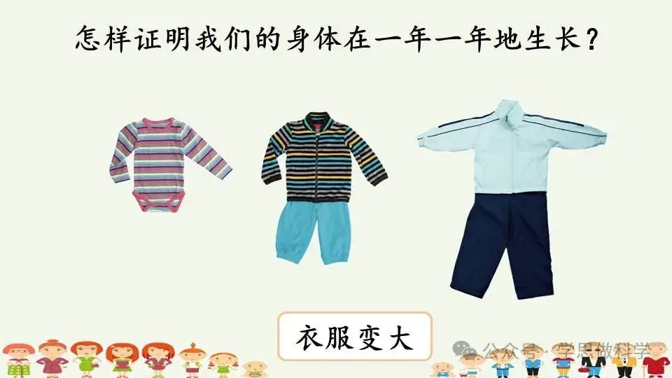 2.5发现生长(小学科学教科版二年级下册课件) 第4张 2.5发现生长(小学科学教科版二年级下册课件) 第4张