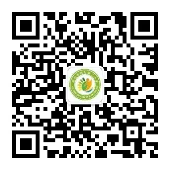 柳州市阳和第二小学2024年春季学期趣味运动会 第55张 柳州市阳和第二小学2024年春季学期趣味运动会 第55张