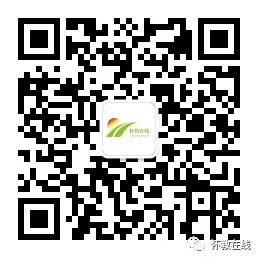 2024年安徽新高考细则公布! 第7张 2024年安徽新高考细则公布! 第7张