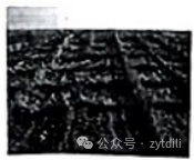 中考名校一模二模试题系列(12) 第21张 中考名校一模二模试题系列(12) 第21张