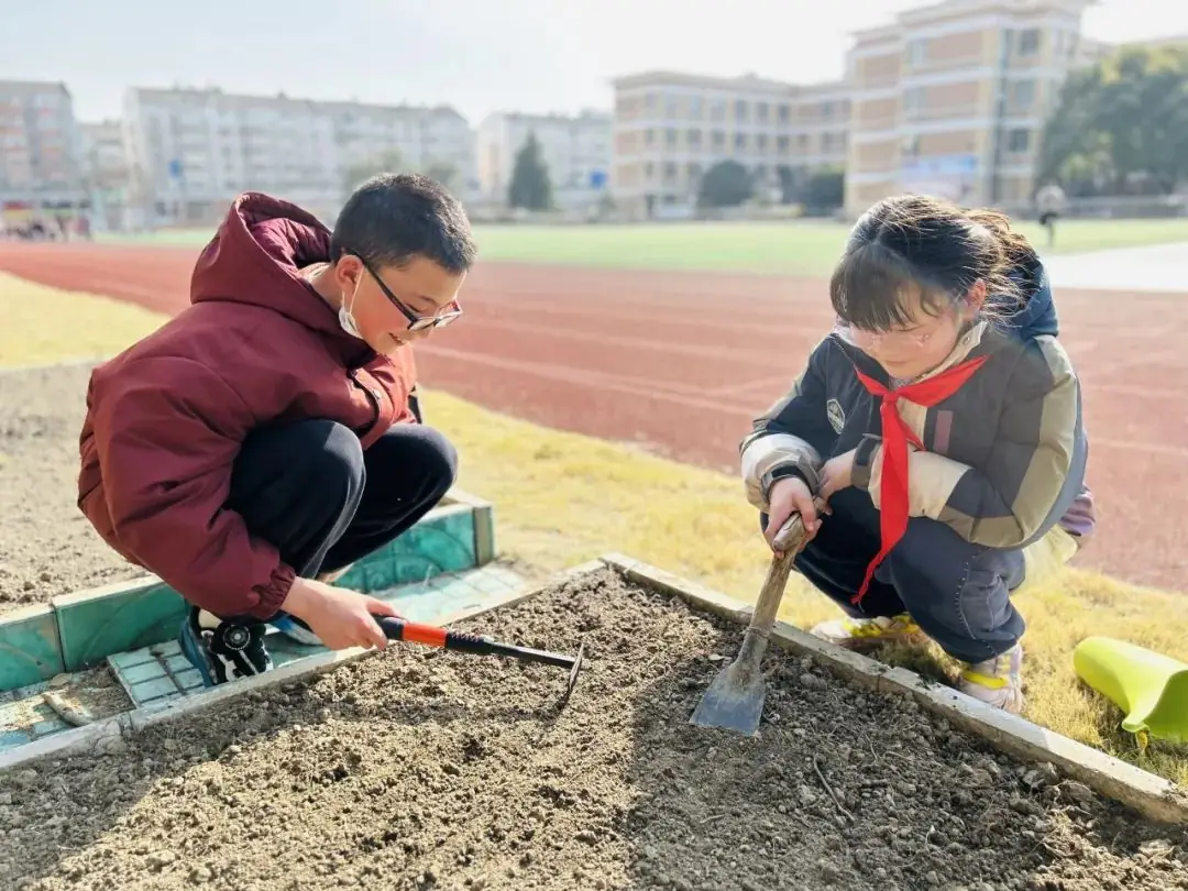【实小教育集团·十里坊小学】“趣”当劳动者,“育”见劳动美 ——四年级劳动主题系列活动 第10张 【实小教育集团·十里坊小学】“趣”当劳动者,“育”见劳动美 ——四年级劳动主题系列活动 第10张