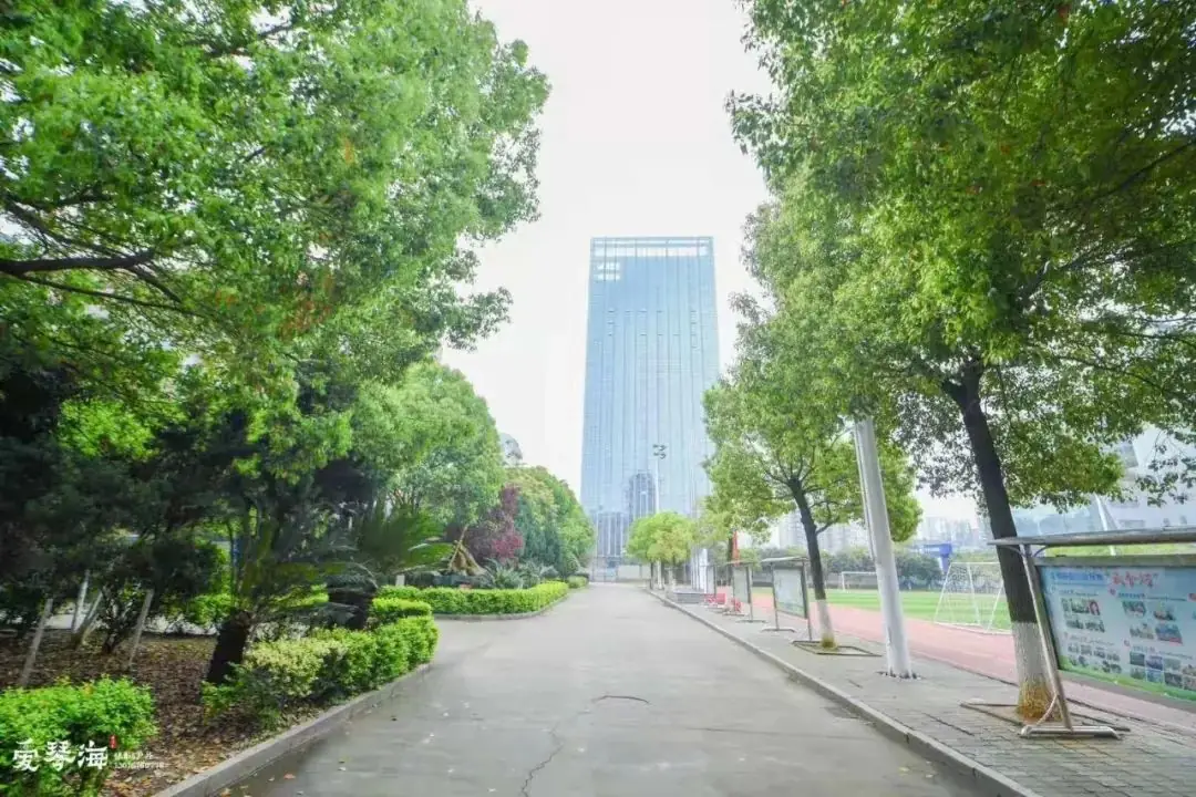 东郡小学迎接芙蓉区人大常委会伍艳飞主任以及 市、区人大代表一行调研视察 第28张 东郡小学迎接芙蓉区人大常委会伍艳飞主任以及 市、区人大代表一行调研视察 第28张