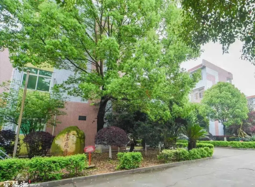 东郡小学迎接芙蓉区人大常委会伍艳飞主任以及 市、区人大代表一行调研视察 第26张 东郡小学迎接芙蓉区人大常委会伍艳飞主任以及 市、区人大代表一行调研视察 第26张