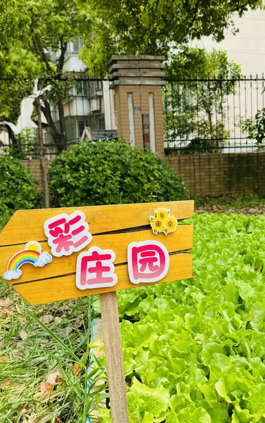 【实小教育集团·十里坊小学】“趣”当劳动者,“育”见劳动美 ——四年级劳动主题系列活动 第21张 【实小教育集团·十里坊小学】“趣”当劳动者,“育”见劳动美 ——四年级劳动主题系列活动 第21张