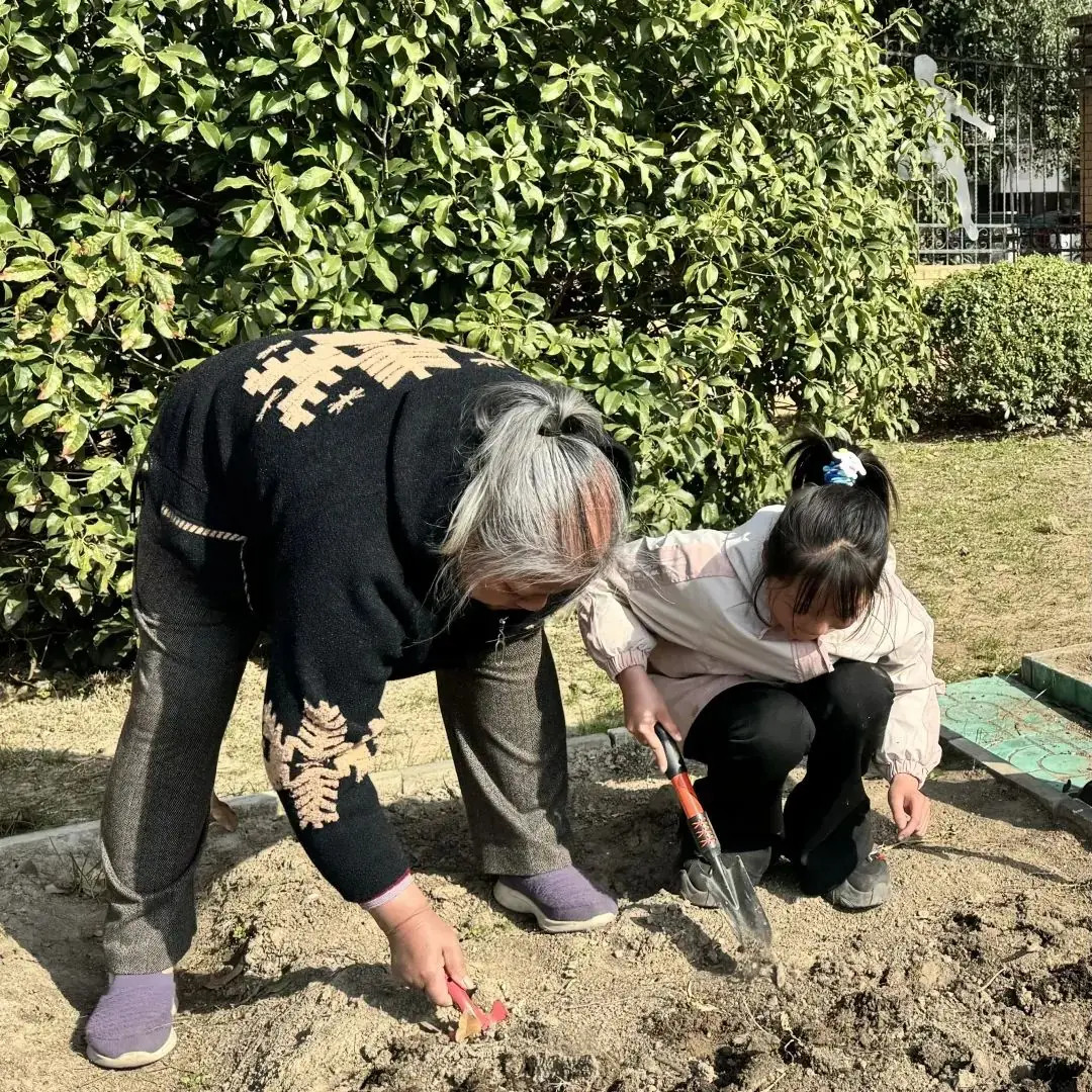 【实小教育集团·十里坊小学】“趣”当劳动者,“育”见劳动美 ——四年级劳动主题系列活动 第14张 【实小教育集团·十里坊小学】“趣”当劳动者,“育”见劳动美 ——四年级劳动主题系列活动 第14张