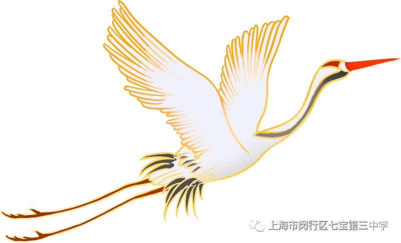 上海学校|小学|老年大学|中学|职校招聘教师 第2张 上海学校|小学|老年大学|中学|职校招聘教师 第2张
