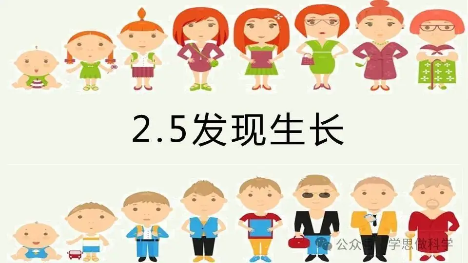 2.5发现生长(小学科学教科版二年级下册课件) 第1张 2.5发现生长(小学科学教科版二年级下册课件) 第1张