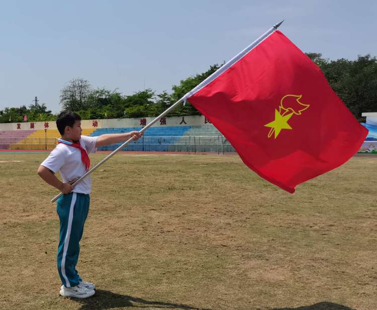 【全环境立德树人】宁阳县东庄镇中心小学少先队“六知、六会、一做”队前教育 第7张