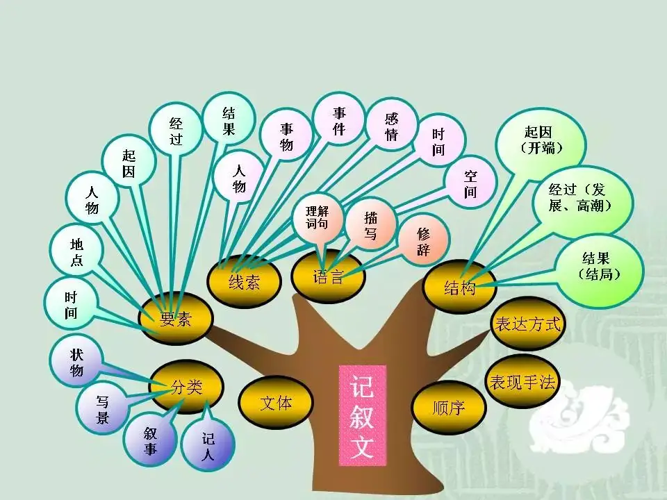 2024中考:初中语文《知识体系思维导图》 第2张 2024中考:初中语文《知识体系思维导图》 第2张
