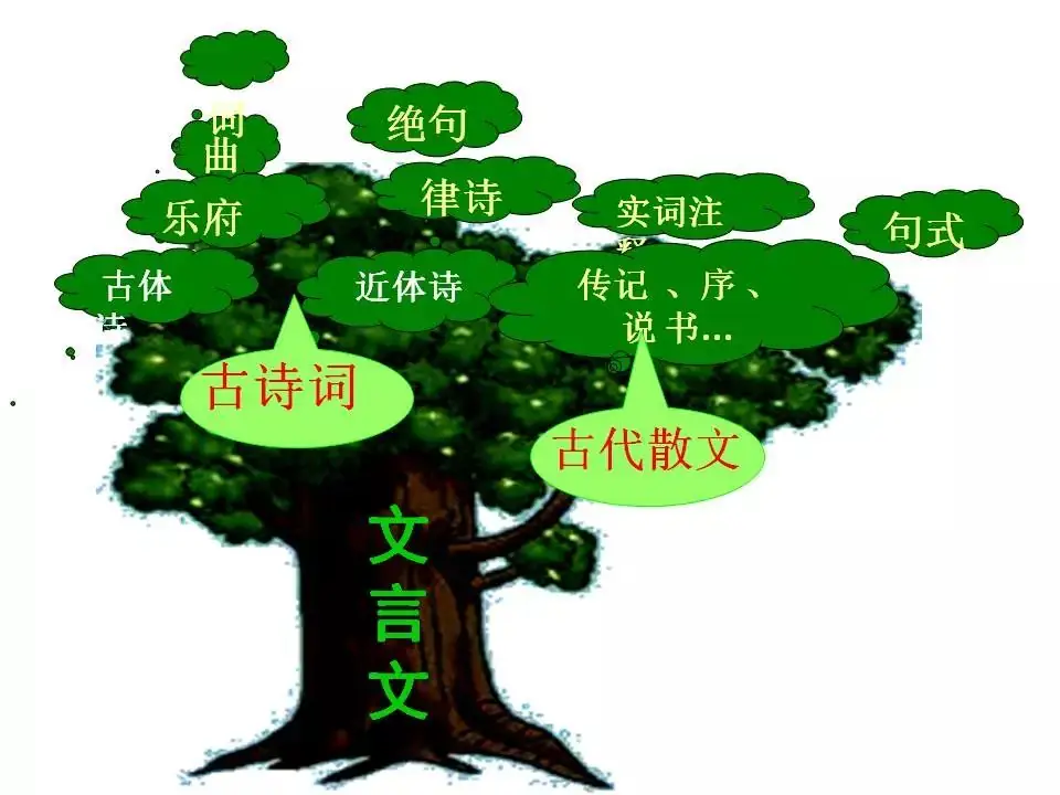 2024中考:初中语文《知识体系思维导图》 第19张 2024中考:初中语文《知识体系思维导图》 第19张