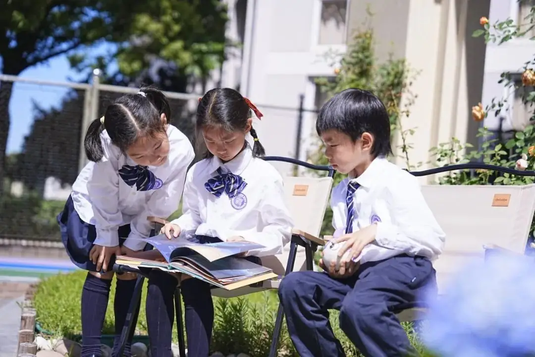 镇海区鲲池小学今年招生划重点!2024年秋季招生“十”问与“实”答 第21张 镇海区鲲池小学今年招生划重点!2024年秋季招生“十”问与“实”答 第21张