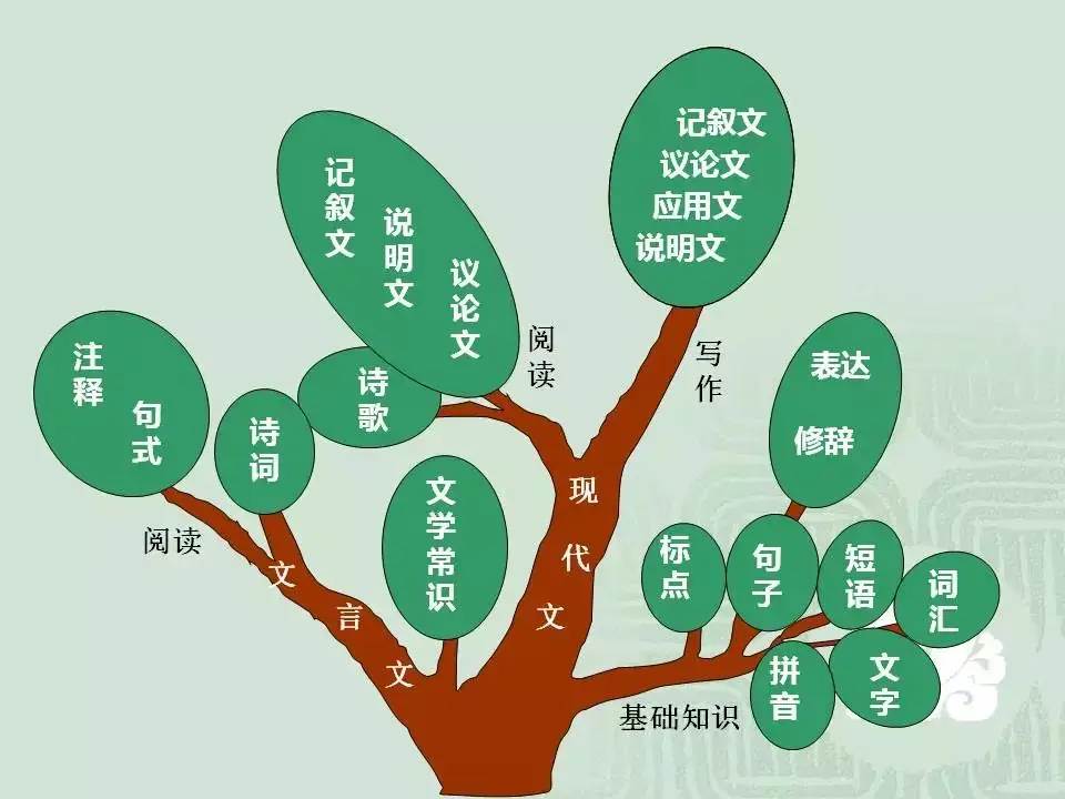 2024中考:初中语文《知识体系思维导图》 第1张 2024中考:初中语文《知识体系思维导图》 第1张