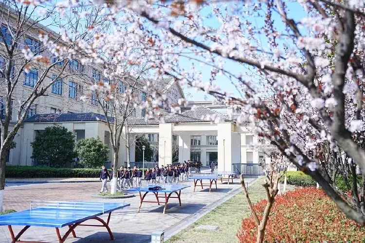 镇海区鲲池小学今年招生划重点!2024年秋季招生“十”问与“实”答 第6张 镇海区鲲池小学今年招生划重点!2024年秋季招生“十”问与“实”答 第6张