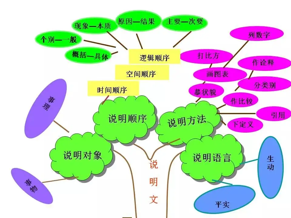2024中考:初中语文《知识体系思维导图》 第17张 2024中考:初中语文《知识体系思维导图》 第17张
