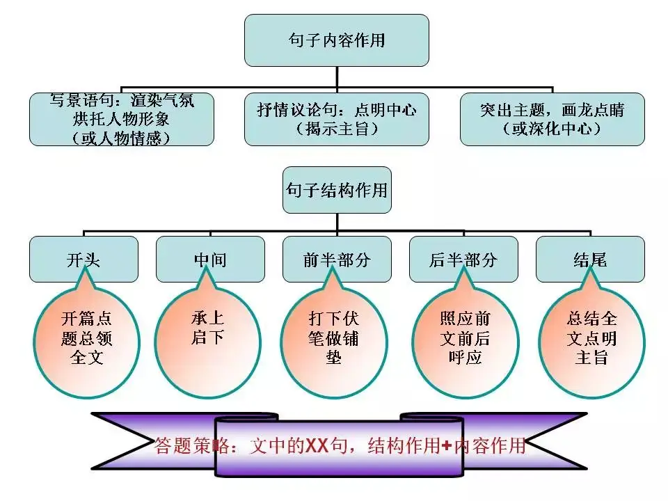 2024中考:初中语文《知识体系思维导图》 第9张 2024中考:初中语文《知识体系思维导图》 第9张